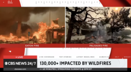 Out of the Ashes: Let the 2025 Oscars Be a Telethon for Wildfire Relief